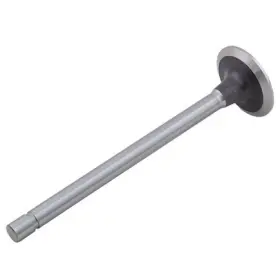 474023378 Reliance Power Products Intake Valve