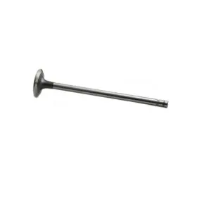474396887 Reliance Power Products Intake Valve