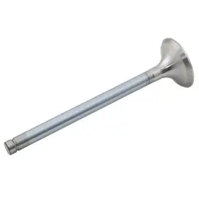 73055056 Reliance Power Products Exhaust Valve