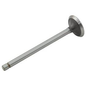 Reliance Power Products 7362534 Intake Valve