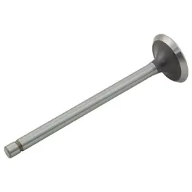 7362534 Reliance Power Products Intake Valve