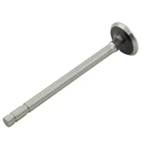 7366303 Reliance Power Products Exhaust Valve