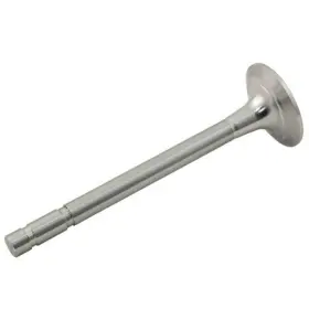 7372699 Reliance Power Products Exhaust Valve