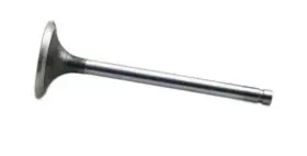 7675046 Reliance Power Products Intake Valve