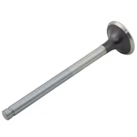 7675573 Reliance Power Products Exhaust Valve