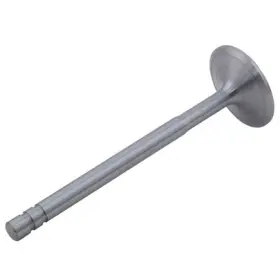 C1754826m1 Reliance Power Products Intake Valve