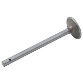 Reliance Power Products Cf600i229 Intake Valve