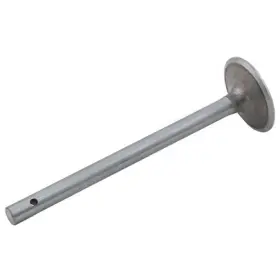 Cf600i229 Reliance Power Products Intake Valve
