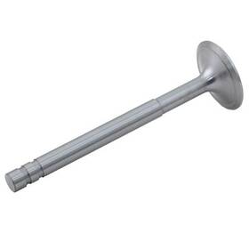 Reliance Power Products Cg176i304 Intake Valve