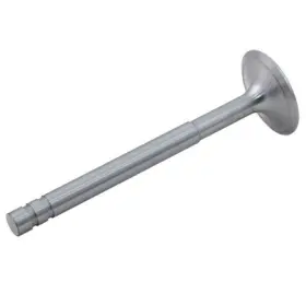 Cg176i304 Reliance Power Products Intake Valve