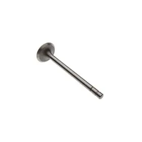 D4153631 Reliance Power Products Intake Valve