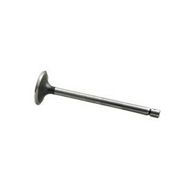 Reliance Power Products F383907 Intake Valve