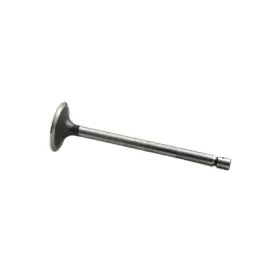 F383907 Reliance Power Products Intake Valve