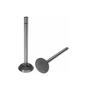 F813f6505daa Reliance Power Products Exhaust Valve