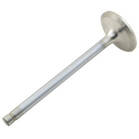 Reliance Power Products F87802256 Intake Valve