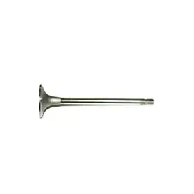 K4955239 Reliance Power Products Intake Valve