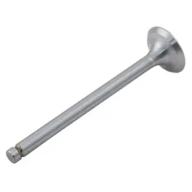 M0910061 Reliance Power Products Exhaust Valve