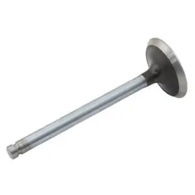 M3142h041 Reliance Power Products Intake Valve