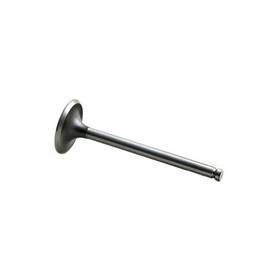 Reliance Power Products M31431261 Intake Valve