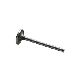 M31431261 Reliance Power Products Intake Valve