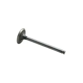 M31431681 Reliance Power Products Intake Valve