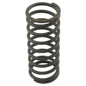 Na356r Reliance Power Products Valve Spring