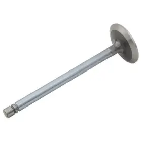 Nm100t Reliance Power Products Intake Valve