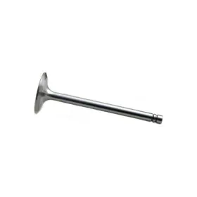 Nm3153t Reliance Power Products Intake Valve