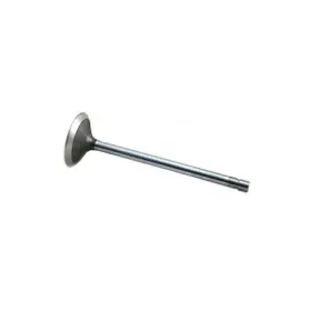 Nr101305 Reliance Power Products Exhaust Valve
