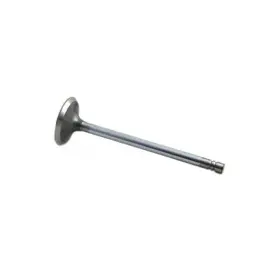 Nr44174 Reliance Power Products Intake Valve