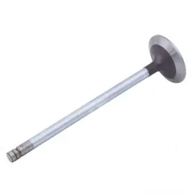 Nr518806 Reliance Power Products Intake Valve