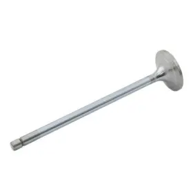 Nr520223 Reliance Power Products Intake Valve