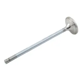 Nr520224 Reliance Power Products Exhaust Valve