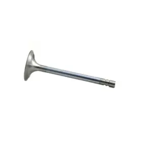 Nr83071 Reliance Power Products Intake Valve