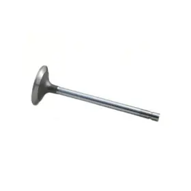 Nr84618 Reliance Power Products Intake Valve