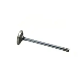 Nr84619 Reliance Power Products Exhaust Valve