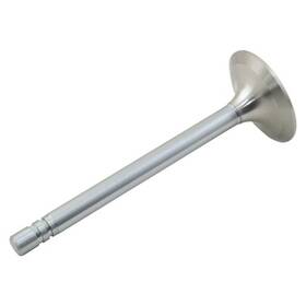 Reliance Power Products Nr89224 Intake Valve