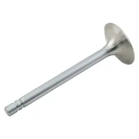 Nr89224 Reliance Power Products Intake Valve
