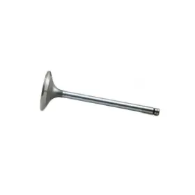 Nr97490 Reliance Power Products Intake Valve