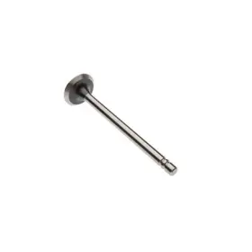 S106096a Reliance Power Products Intake Valve