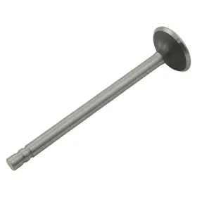 S107301 Reliance Power Products Intake Valve
