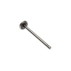 S180036a Reliance Power Products Intake Valve