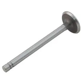 S180336 Reliance Power Products Intake Valve