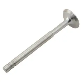 S221336a Reliance Power Products Exhaust Valve