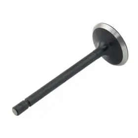 Sh120166380 Reliance Power Products Intake Valve