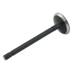 Sh120176380 Reliance Power Products Exhaust Valve