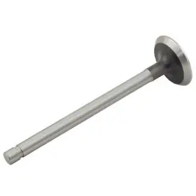 Wae75b Reliance Power Products Intake Valve