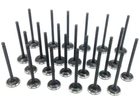 Qm73t3 Replacement Intake And Exhaust Valve Kit For Sorento Sedona Santa Fe Xg350 Amanti