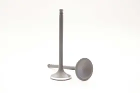 Vx18-214 Safety Auto Parts Exhaust Valve Item #vx18-214