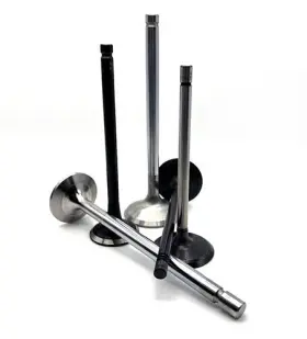 01551 Sb International Sbi Part # Engine Intake Valve